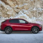 Alfa Romeo Stelvio usata in vendita online