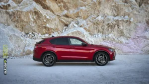 Alfa Romeo Stelvio usata in vendita online