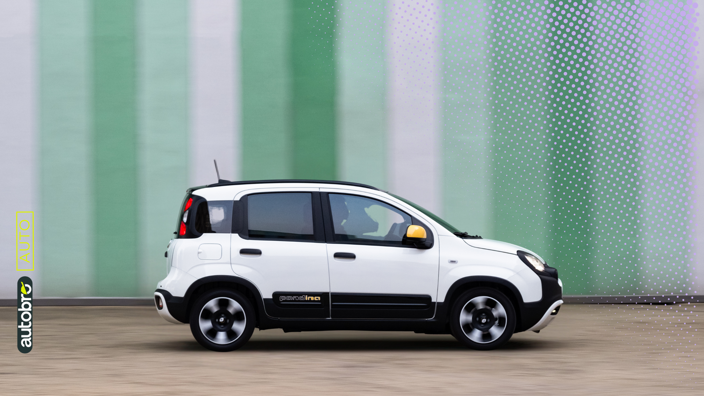 Fiat Panda usata e Fiat Pandina confronto modelli 2026 Autobro