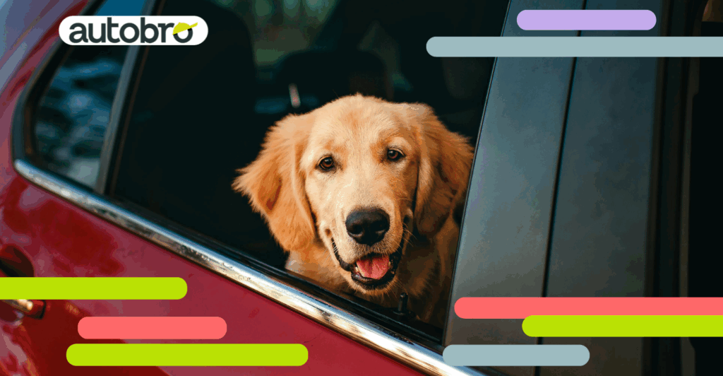 Usato automobile in vendita online su Autobro.it