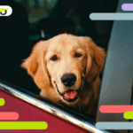 Usato automobile in vendita online su Autobro.it
