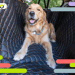 utilitaria economica compatta città 2025