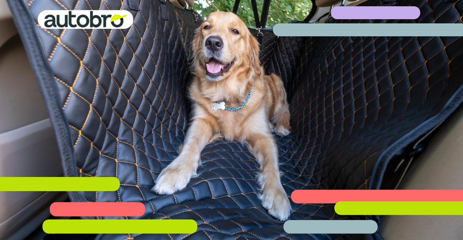 utilitaria economica compatta città 2025